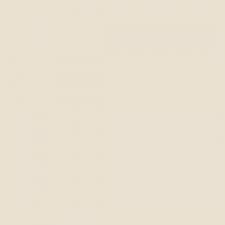 MiBella Bridesmaids colour Champaigne