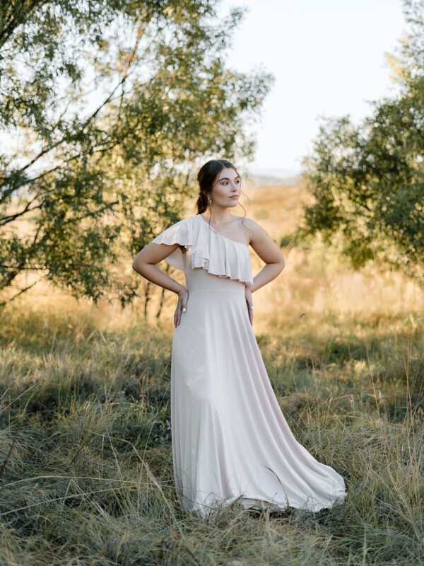 MiBella Bridesmaids Eva Dress Full View